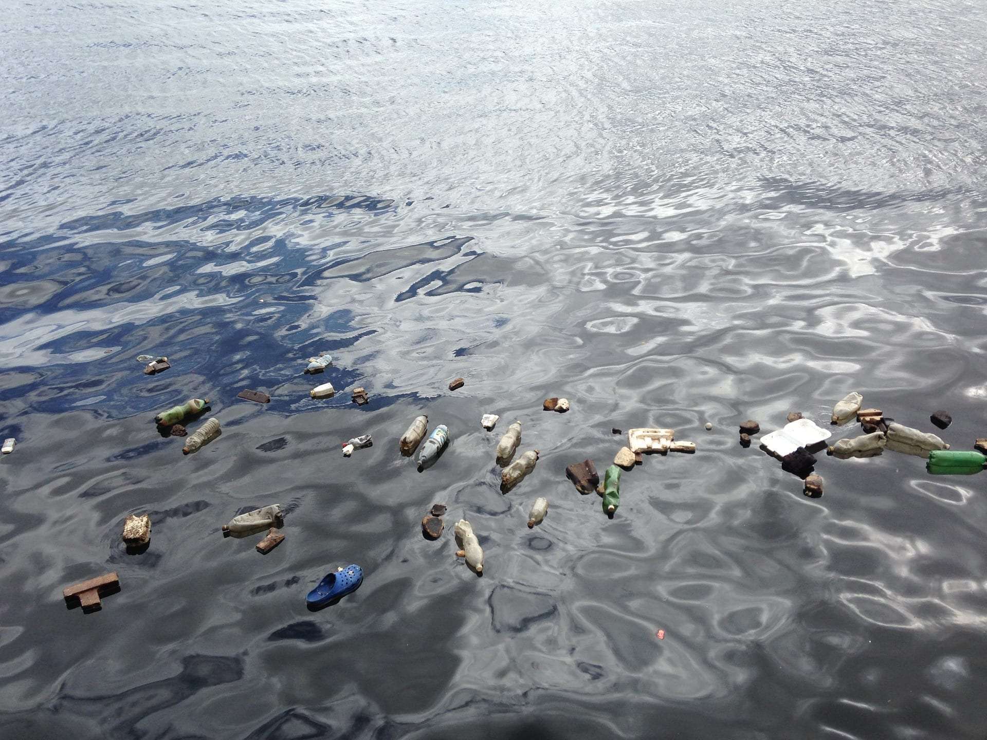 Open Water  Canned water for clean oceans